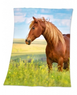 Deka  digitální tisk kůň > varianta kůn