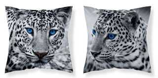 DETEXPOL Povlak na polštářek Leopard černobílá micro Polyester, 40/40 cm